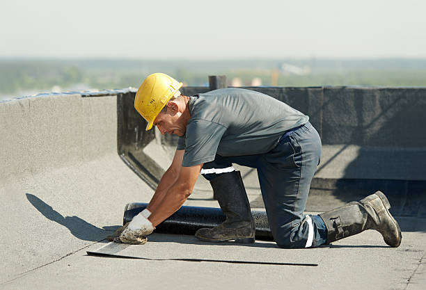 Best Professional Insulation Contractor  in Fort Llins, CO