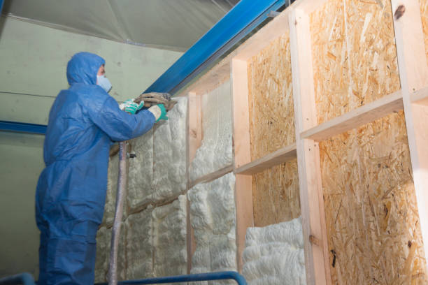 Best Fiberglass Insulation  in Fort Llins, CO